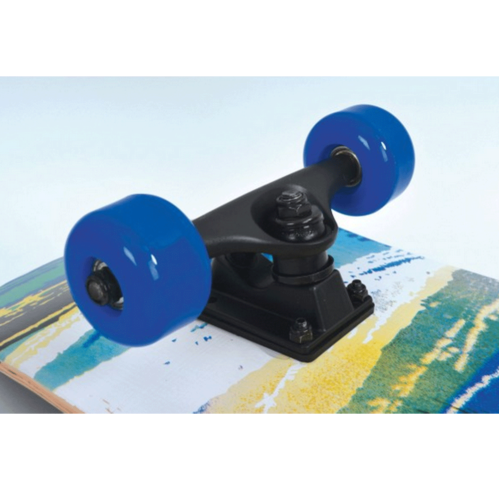 Skate Slider 31'' Aloha